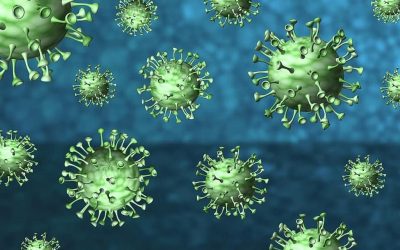 Le conseguenze del coronavirus